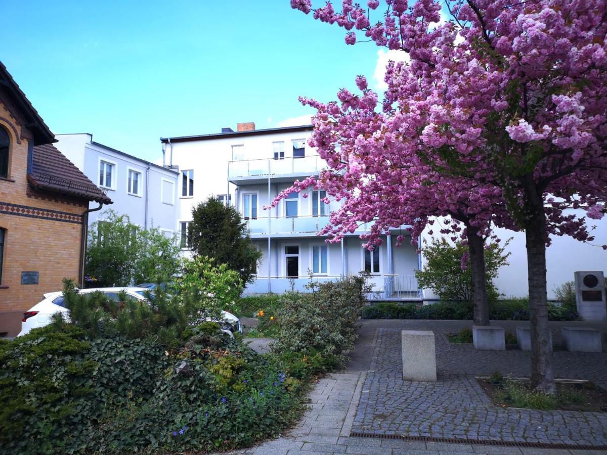 Pb Ferienwohnungen - Fewo 3 - Stilvoll Eingerichtetes Studio Im Herzen Senftenbergs ภายนอก รูปภาพ